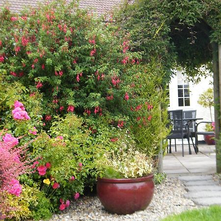 Almanii Bed & Breakfast Dublin Dış mekan fotoğraf