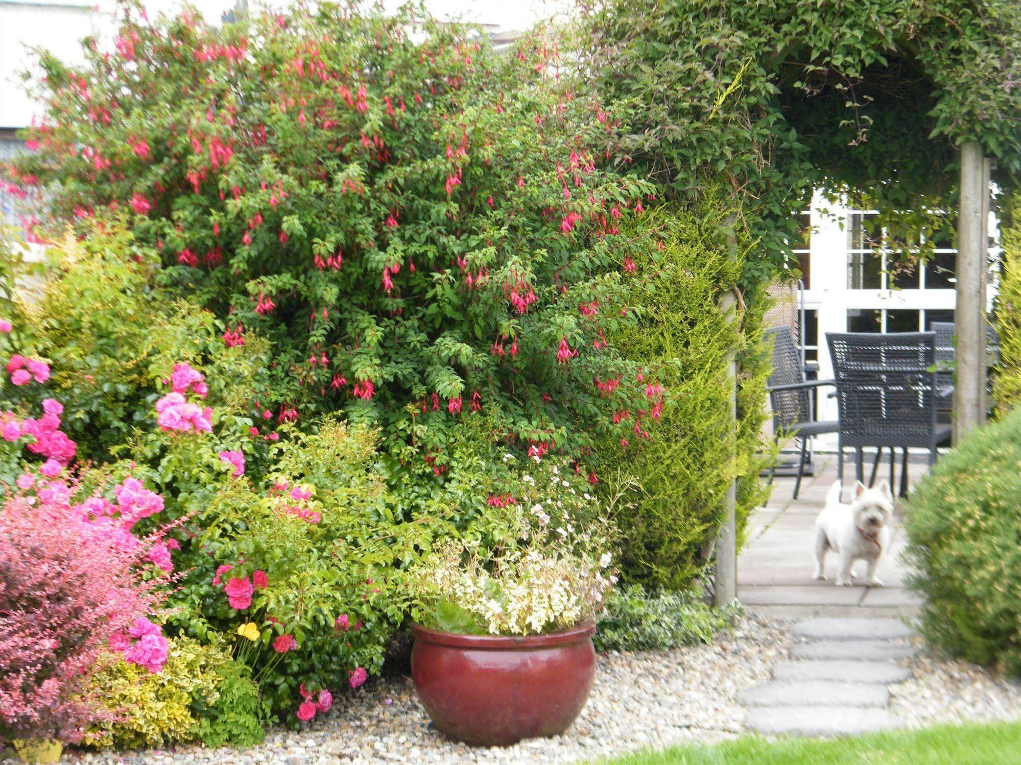 Almanii Bed & Breakfast Dublin Dış mekan fotoğraf