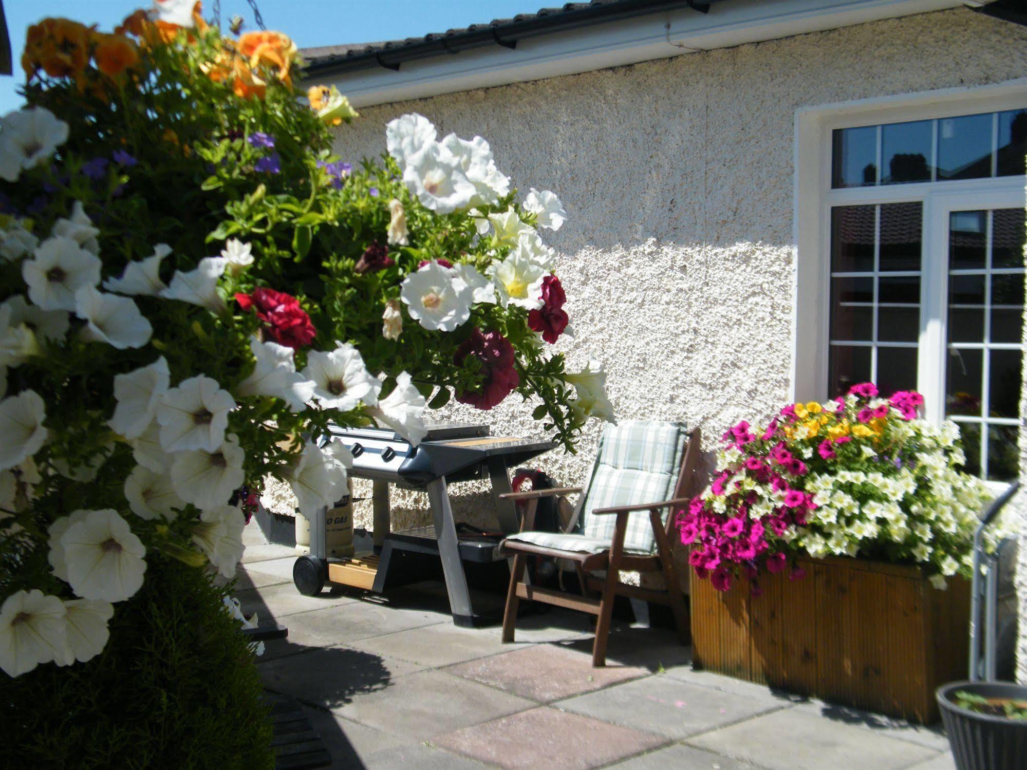 Almanii Bed & Breakfast Dublin Dış mekan fotoğraf