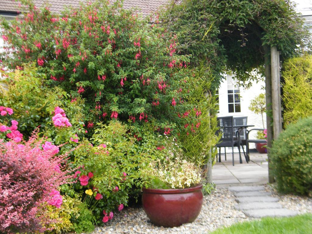 Almanii Bed & Breakfast Dublin Dış mekan fotoğraf